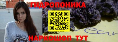 прущие грибы Пугачёв