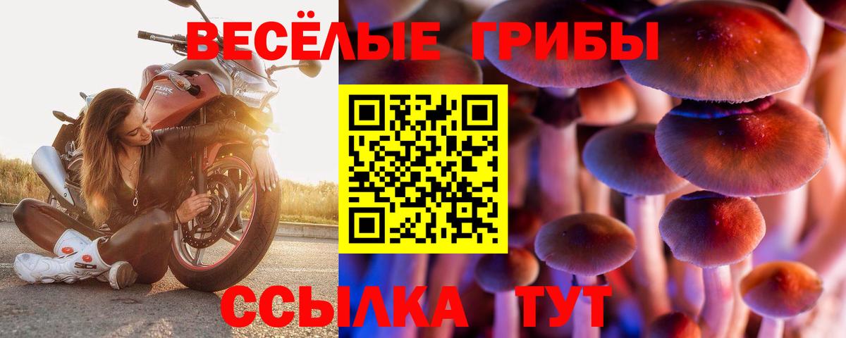 Ростов Великий  Псилоцибиновые грибы прущие грибы  Псилоцибиновые грибы Magic Shrooms  Вход с VPN 